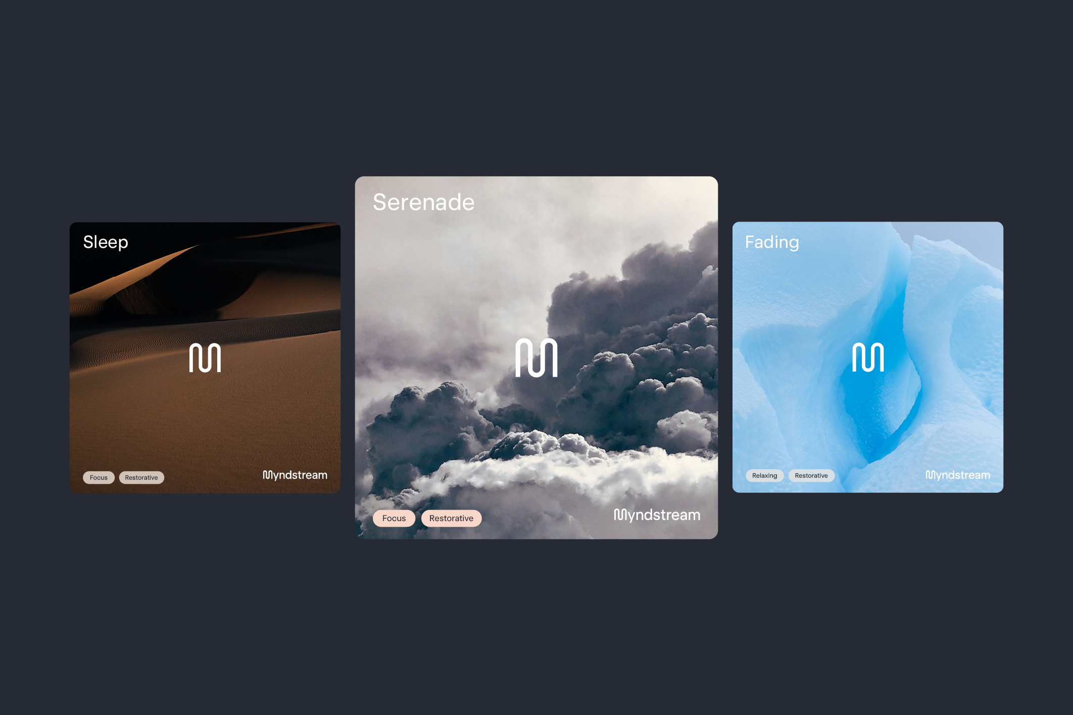 Myndstream_guidelines_1.4 case study2